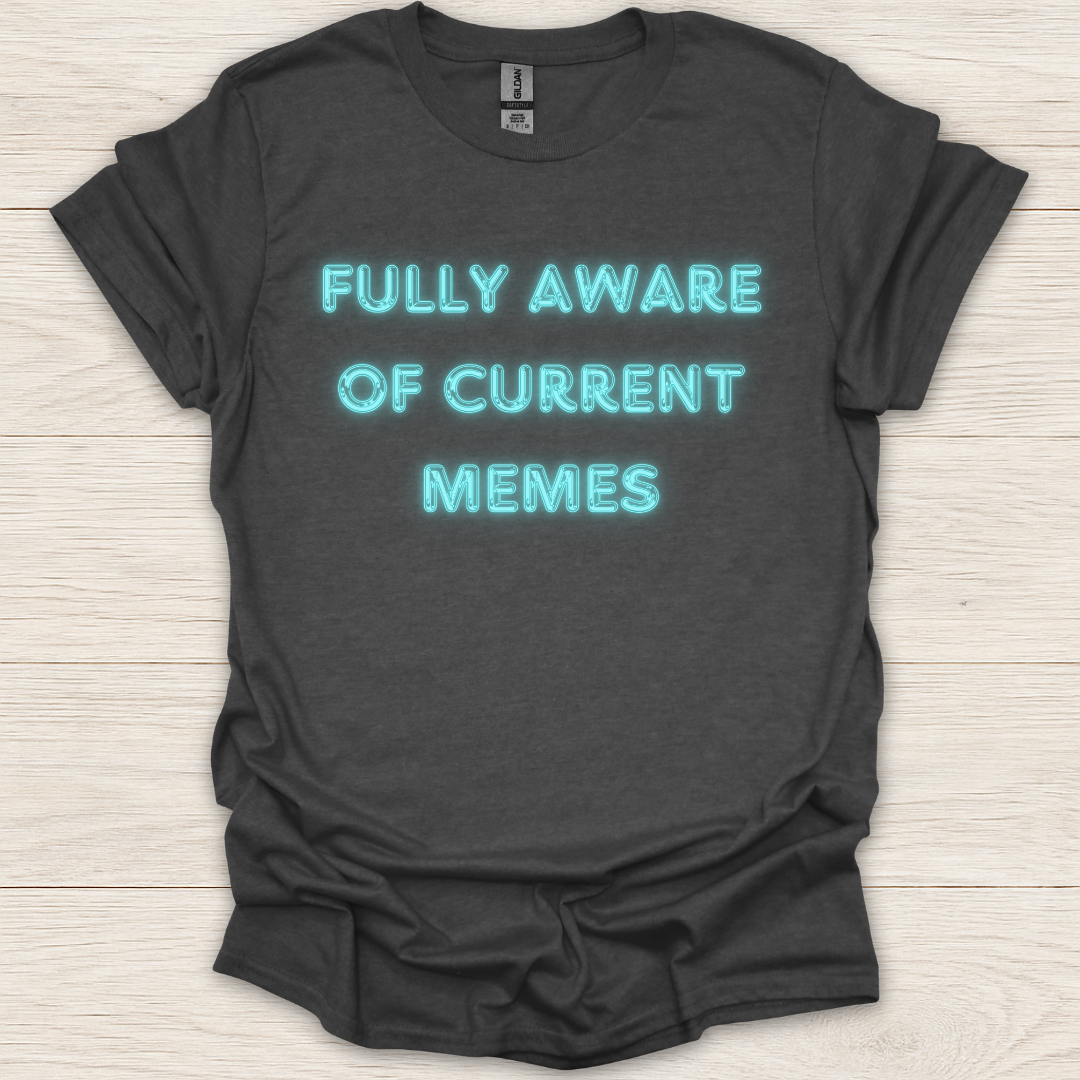 Fully Aware of Current Memes T-Shirt