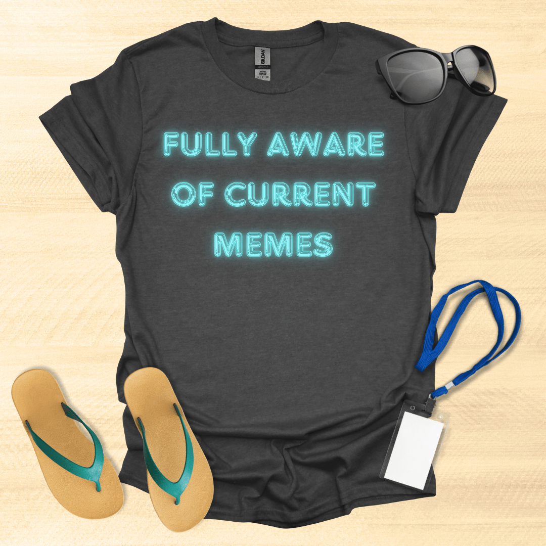 Fully Aware of Current Memes T-Shirt